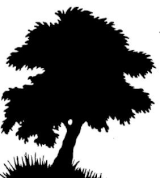 arbre ombres chinoises théâtre d`ombres silhouettes marionnettes free