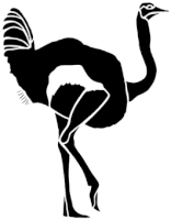 autruche ombres chinoises théâtre d`ombres silhouettes marionnettes free