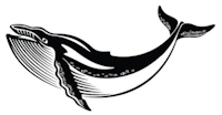 hbaleine, rorqual, ombre chinoise, theatre d`ombres, marionnettes, silhouette, découpage pochoir, free