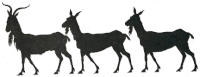 bouc et chèvres ombres chinoises théâtre d`ombres silhouettes marionnettes free