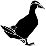 canard ombres chinoises théâtre d`ombres silhouettes marionnettes free