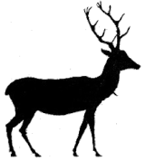 cerf ombres chinoises théâtre d`ombres silhouettes marionnettes free