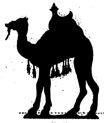 chameau en ombre chinoise silhouette