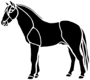 cheval ombres chinoises théâtre d`ombres silhouettes marionnettes free