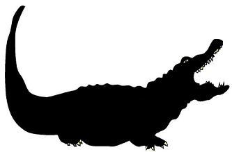 crocodile, animal, ombres chinoises, theatre d`ombres puppet shadow, silhouette, marionnette, free