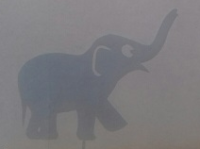 éléphanteau ombres chinoises théâtre d`ombres silhouettes marionnettes free