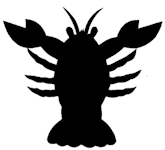 homard ombres chinoises theatre d`ombres silhouettes marionnettes free