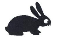 lapin lièvre ombres chinoises théâtre d`ombres silhouettes marionnettes free