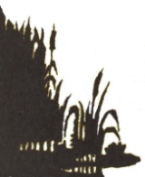 herbes décor ombres chinoises théâtre d`ombres silhouettes marionnettes free