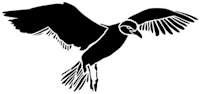 mouette, ombre chinoise, theatre d`ombres, marionnettes, silhouette, découpage pochoir, free