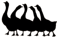 oies ombres chinoises théâtre d`ombres silhouettes marionnettes free