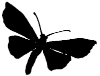 papillon ombres chinoises théâtre d`ombres silhouettes marionnettes free