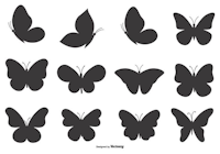 papillon, ombre chinoise, theatre d`ombres, marionnettes, silhouette, découpage pochoir, free