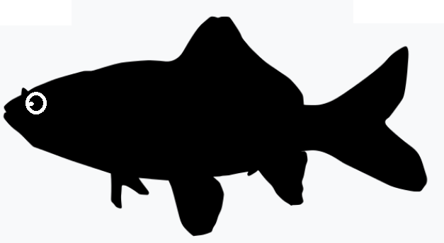 poisson, ombre chinoise, théâtre d`ombres, animal, silhouette, illustration, wikimedia commons