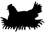 poule couveuse ombres chinoises théâtre d`ombres silhouettes marionnettes free