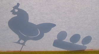 poule, oiseau, volaille, basse-cour, ombre chinoise, silhouette