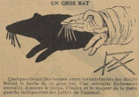 rat ombres chinoises théâtre d`ombres silhouettes marionnettes free