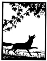 renard ombres chinoises théâtre d`ombres silhouettes marionnettes free