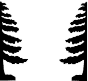 sapins ombres chinoises théâtre d`ombres silhouettes marionnettes free