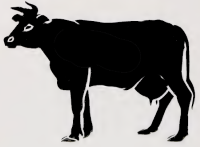 vache animal ombres chinoises théâtre d`ombres silhouettes marionnettes free